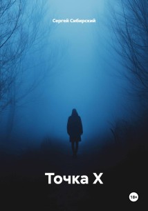 Точка Х