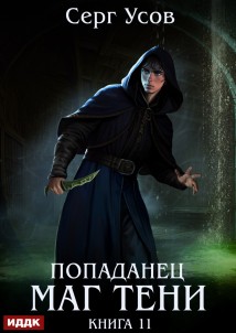 Попаданец. Маг Тени. Книга 11