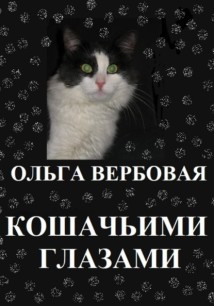 Кошачьими глазами