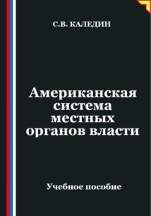 Американская система местных органов власти