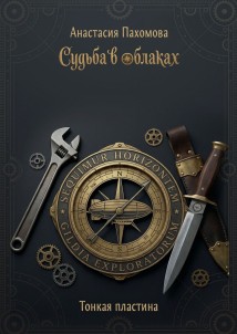 Судьба в облаках. Тонкая пластина