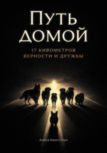 Путь домой 2. Семнадцать километров верности и дружбы