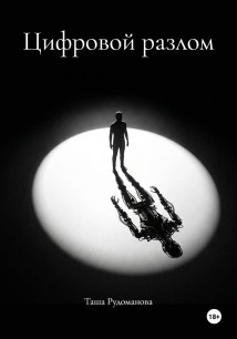 Цифровой разлом