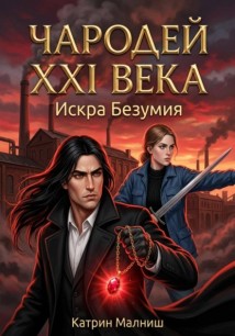 Чародей XXI века. Искра Безумия